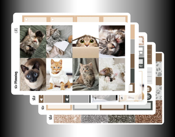 Cats