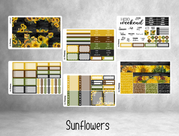 Sunflower