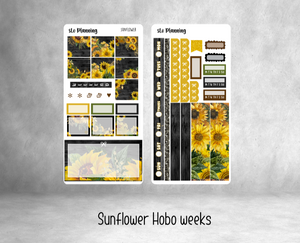 Sunflower (Hobo Weeks)